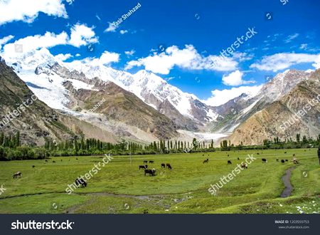 Beautiful Nature image