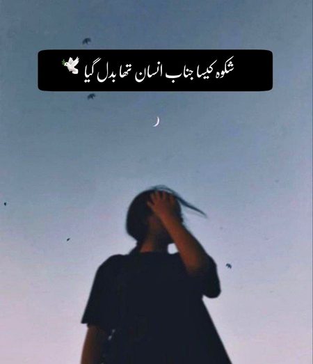 Aniza786