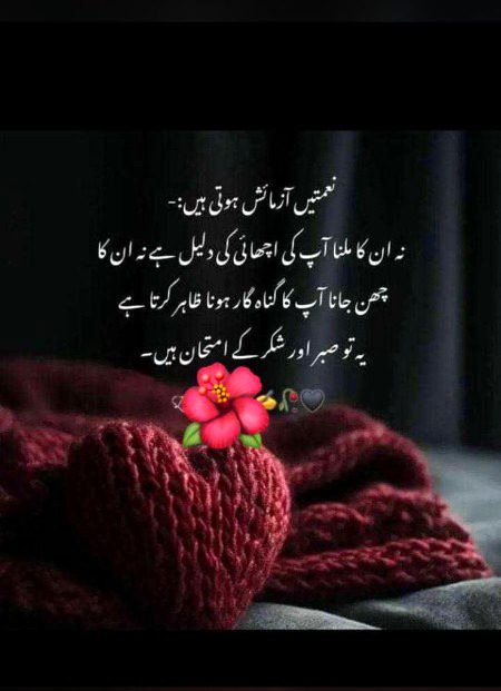 Beshak 🌺🌺