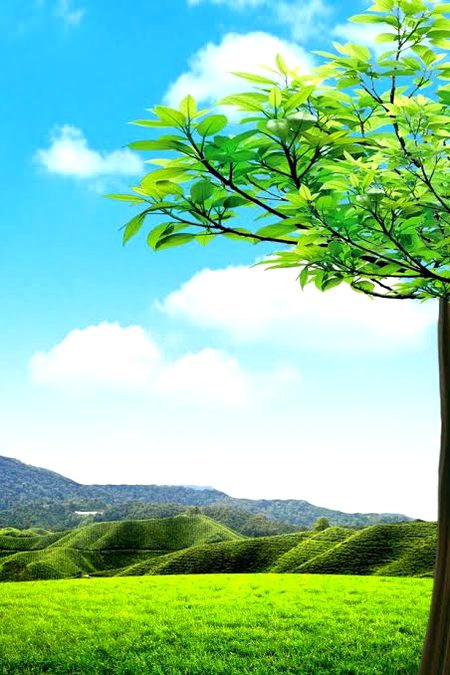 Digital Art image