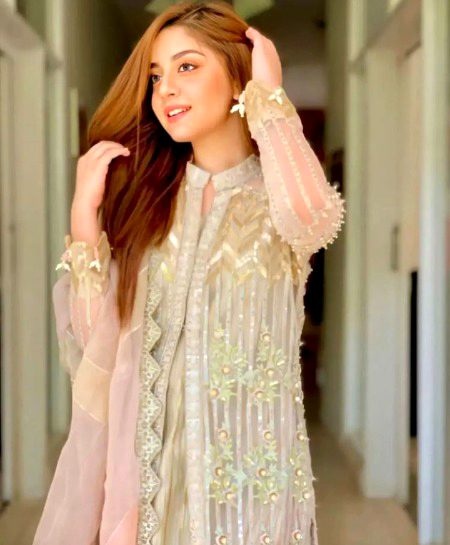 Pakistani Celebs image