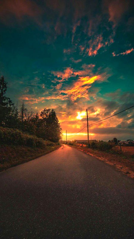 Beautiful Nature image