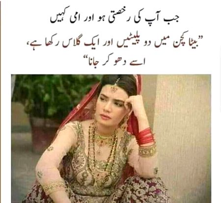 Memes & Satire image