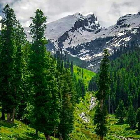 Beautiful Nature image