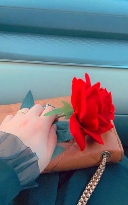 Beautiful Nature image