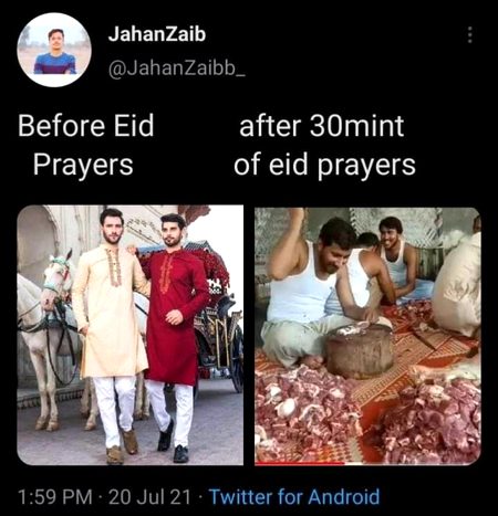 Memes & Satire image