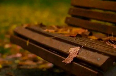 Beautiful Nature image