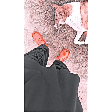 Beautiful People image