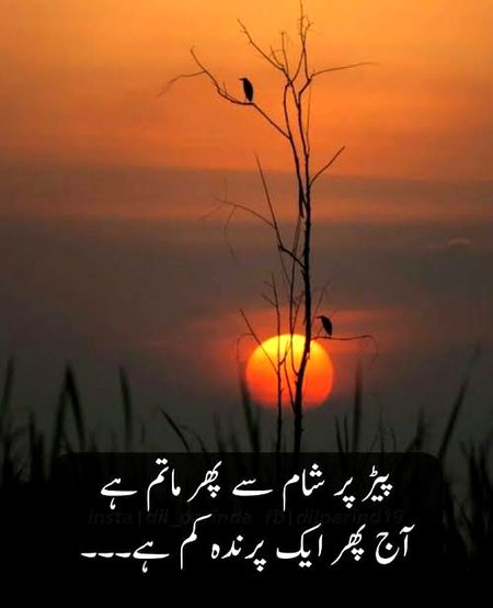 Sad Poetry image