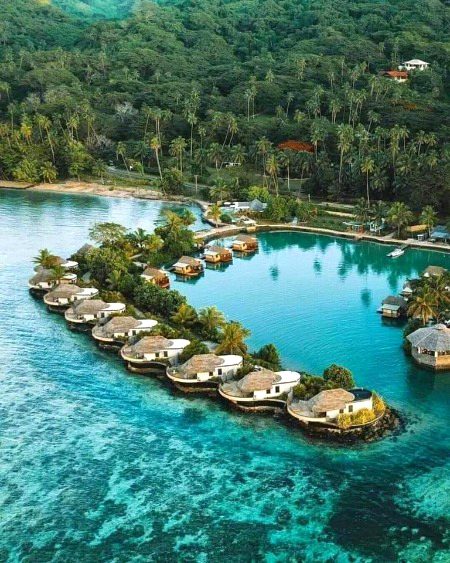 Beautiful nature💚💚💚🌲🌿🌴🍃🌳