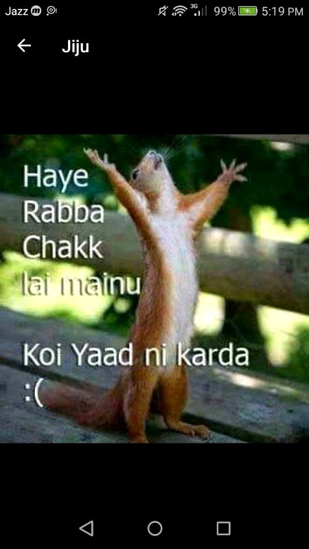 Memes & Satire image