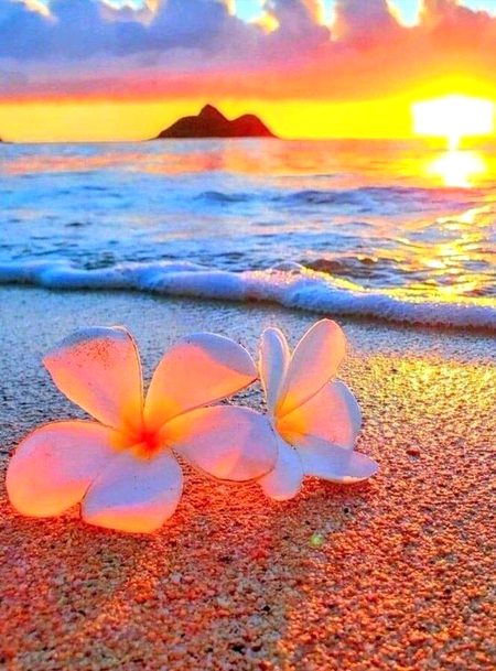 Beautiful Nature image