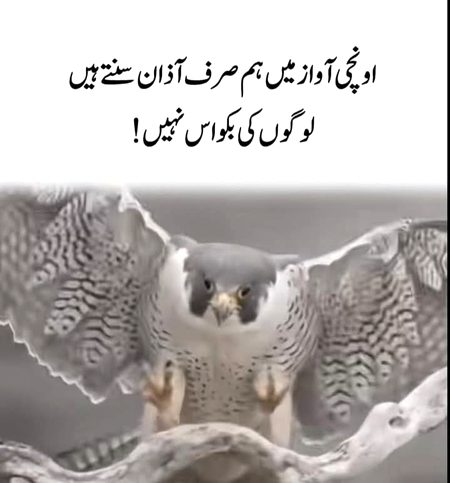 Attitude Quotes image
