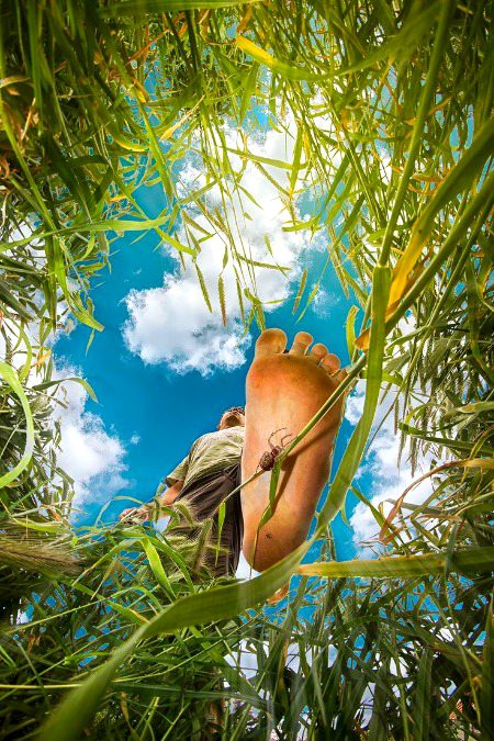 Beautiful Nature image