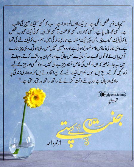 Romantic Novels image