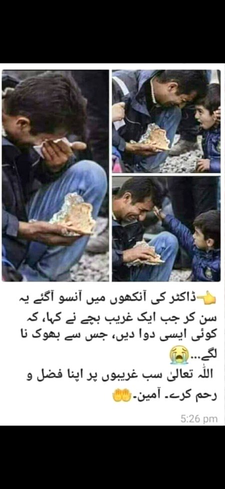 The Prophet (s) said,
كلكم راع وكلكم مسؤول عن رعيته
All of you are shepherds and you are responsible for your sheep.