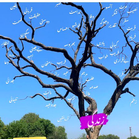 Zendgi 💔