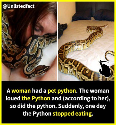 Interesting Posts image