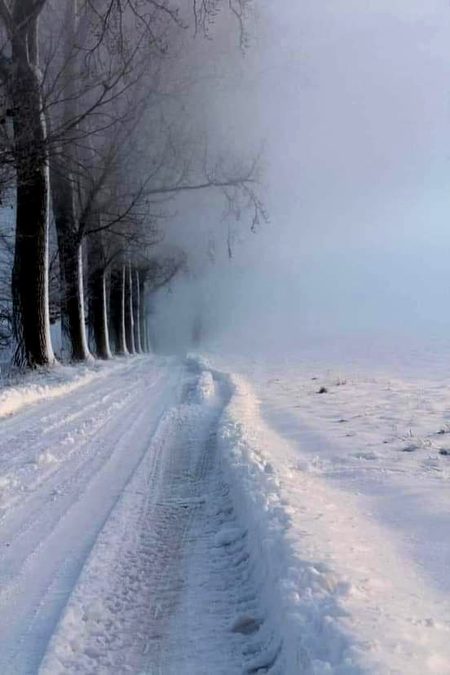 Beautiful Nature image