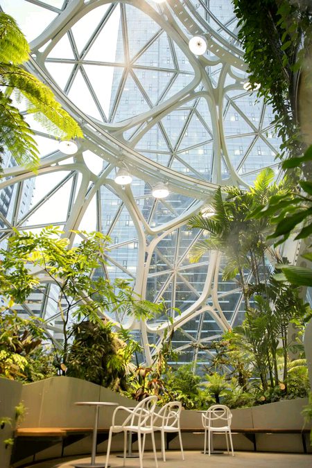 Beautiful Structures image