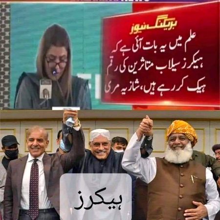 Memes & Satire image