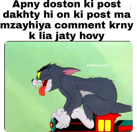 Memes & Satire image