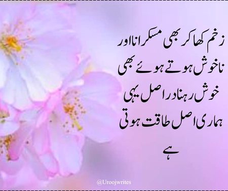 🧡💜🖤🧡💜🖤🧡💜