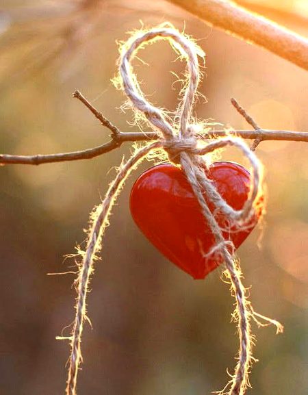 ہمارا اس سے بچھڑنا بھی رائگاں ہی گیا
نہ اسے ٹھکانہ ملا ہے نہ ہم ٹھکانے لگے
💔