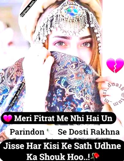 Attitude Quotes image