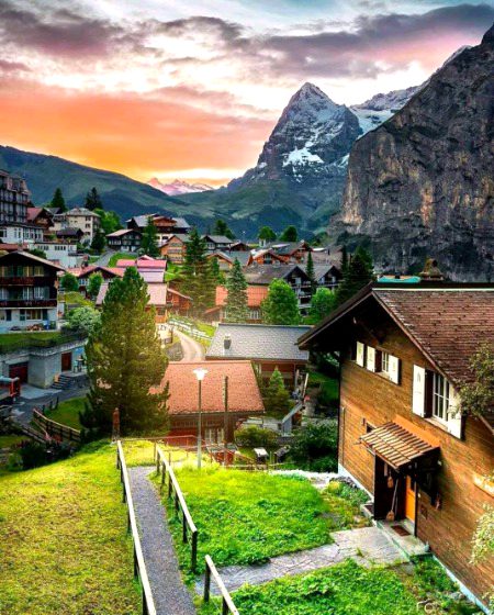 Beautiful Nature image