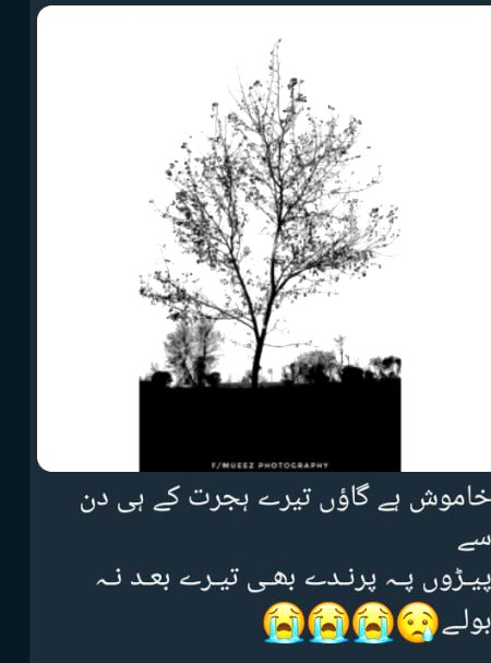 Sad Poetry image