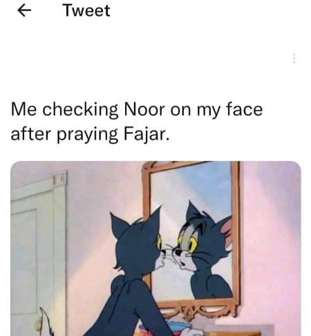 Memes & Satire image