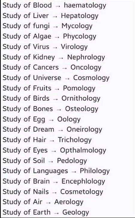 Knowledge Test image