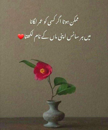 🥀!✨💞-💞🦋.'🥰💫
