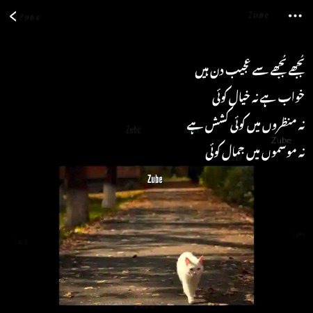 Sad Poetry image