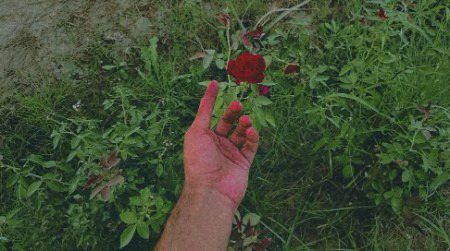 پتے جھڑنے کی عمر ہوتی ہے پر 
 ہواؤں پہ بات آتی ہے 🍁🤍