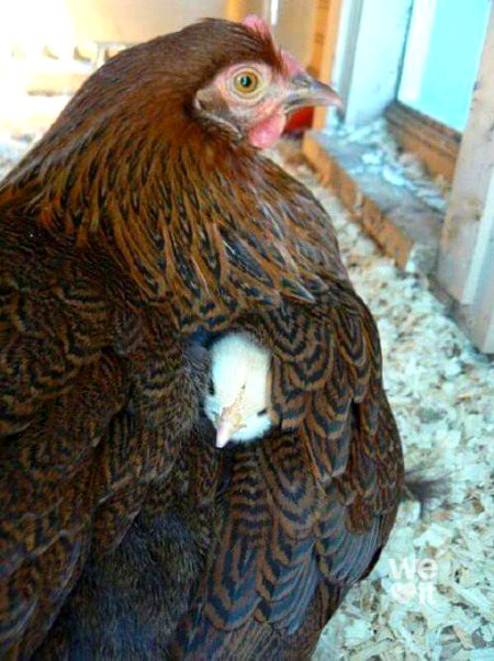 Beautiful Nature image