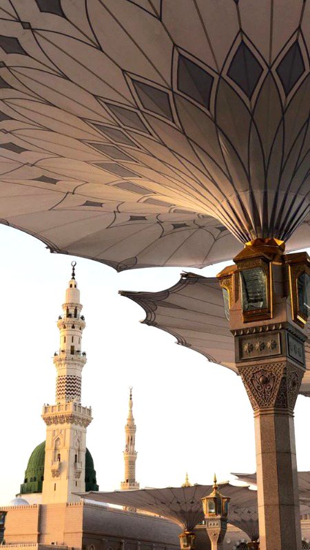 Beautiful Structures image