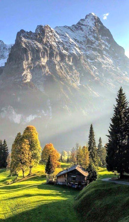 Beautiful Nature image