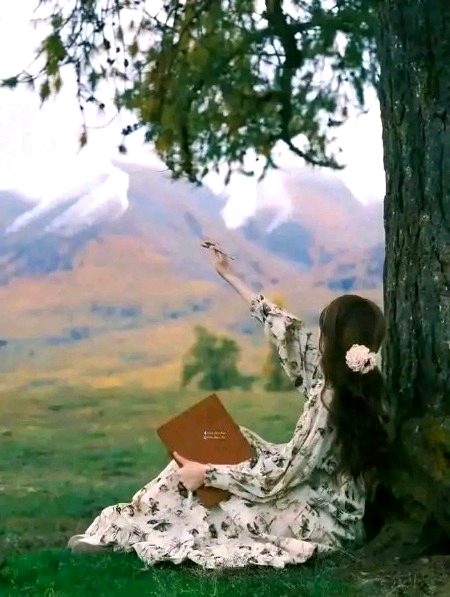 کچھ خواب توڑنے پڑتے ہیں تاکہ حقیقت کی روشنی دکھائی دے...!!