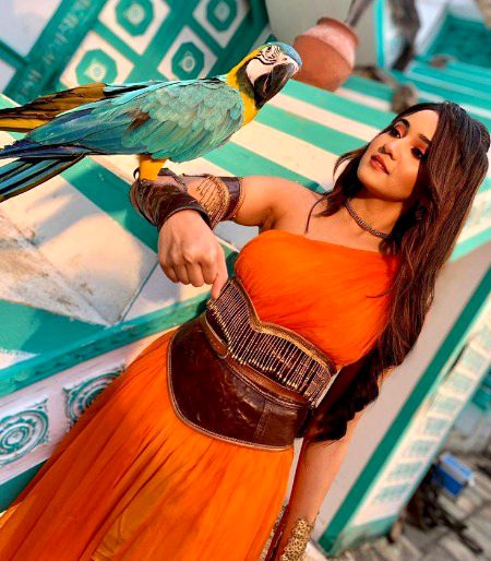 Indian Celebs image
