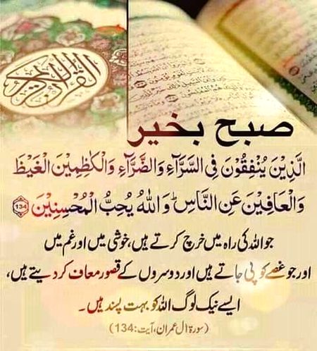 Islamic Quotes image