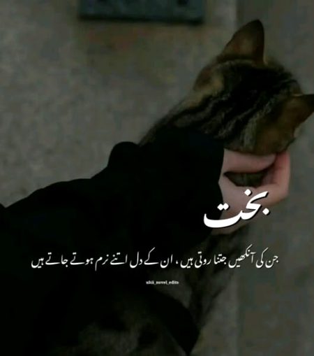 Motivational Quotes image