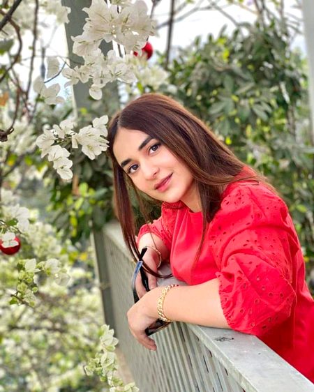 Pakistani Celebs image