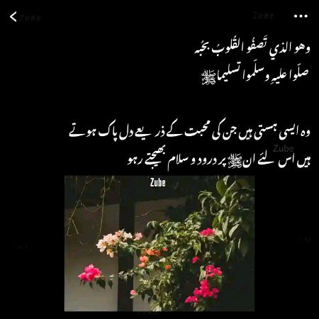 Islamic Quotes image