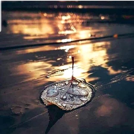 خاموشی تھکاوٹ کی علامت ہے🙂🥀