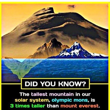 Interesting Posts image