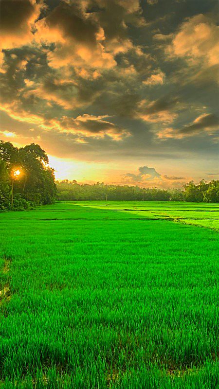 Beautiful Nature image