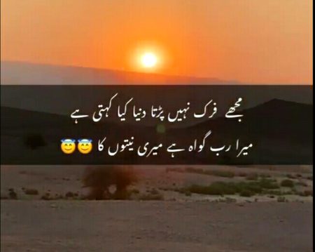 Bilkul❤❤..💯