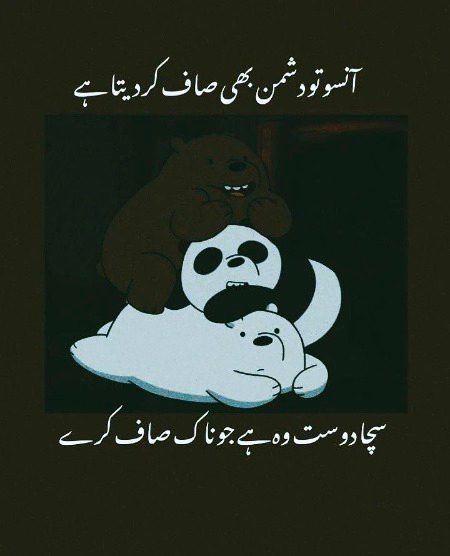 Memes & Satire image